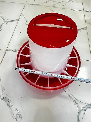 heyvanlar: Yem qabı, Yem üçün, Heyvanlar üçün — 3