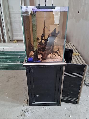 Akvariumlar: Akvarium dəsti Ölçülər: - En: 0,45 m - Uzunluq: 0,70 m - Hündürlük — 7