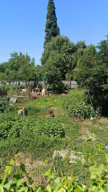 снять квартиру без риэлтора: 4 соток, Кызыл китеп, Техпаспорт