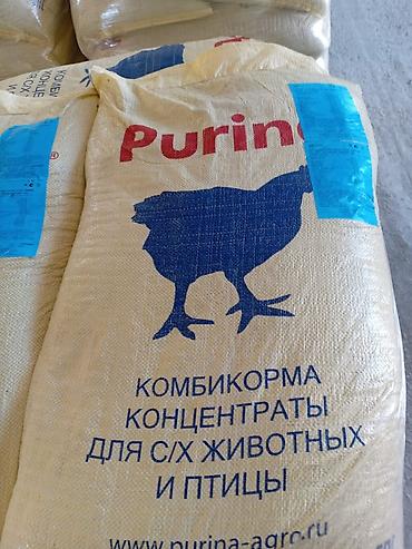 baliq yemleri: Rusiya islehsali
broyler yemleri 
purina rus yemi — 2