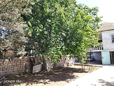 hokmelide heyet evi: 3 otaqlı, 5 kv. m — 2