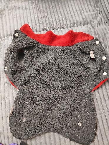 Зоотовары: Тёплая одежда, (две модели),маечки для Йорка 1) Комбинезон/пальто — 2