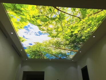 Натяжные потолки: Натяжные потолки | Глянцевые, Матовые, 3D потолки Гарантия, Бесплатная консультация, Бесплатный замер