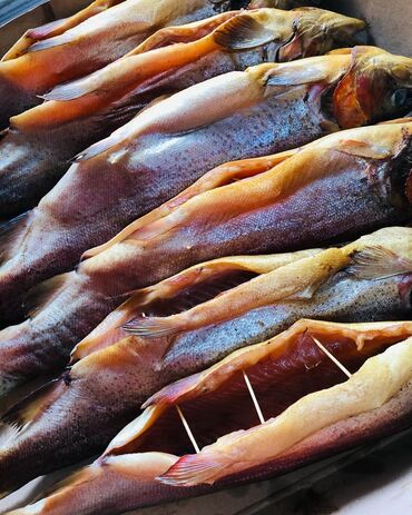 купить рыбную муку: До 1 кг, 1 кг, 2 кг, Самовывоз, Платная доставка