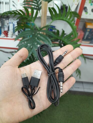 Qulaqcıqlar: Cat qulaqciq 🥰 Şok endirim🤩 45 azn yox❌cəmi 27 azn✅ Cat Ear😻 SN-38M — 5