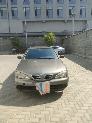 машына приора: Nissan Primera: 2000 г., 1.8 л, Механика, Бензин