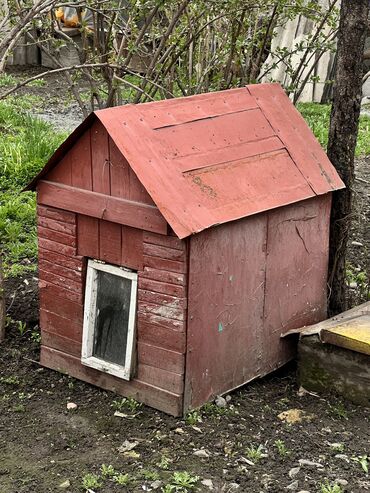 все породы собак в мире: Продаю домик для собак небольшой породы. Сделано этой зимой, утеплена