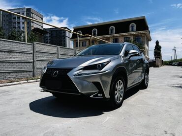 датчик для машины: Lexus NX: 2020 г., 2 л, Автомат, Бензин, Кроссовер