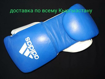 очки для плавания бишкек цена: Боксерские перчатки кожаные и кож зам любых размеров в наличии Цены