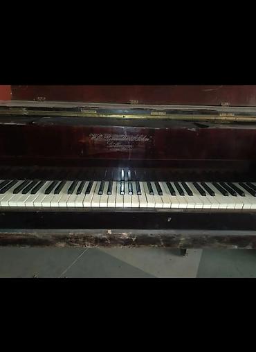 fort salon: Antik kuyruklu piano – Wills. Pethmüller & Sohn, Göttingen - — 8
