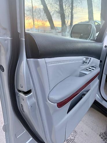 Lexus: Lexus RX: 2003 г., 3.3 л, Кроссовер — 14