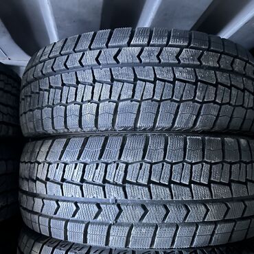 шины на тико: Шиналар 205 / 65 / R 15, Кыш, Колдонулган, Жуп, Жеңил унаалар, Жапония, Dunlop