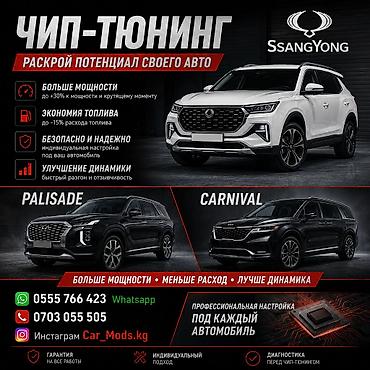 Профессиональный чип‑тюнинг автомобилей SsangYong, Hyundai Palisade