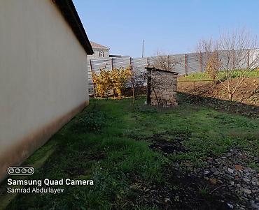 ev alqi satqi kiraye: Salam Ev Satılır Cəlilabad rayon Fərzili kəndə yerləşir asfalta 700 — 4