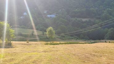 Torpaq sahələrinin satışı: Lerik rayonu Vizəzəmin kəndi ərazisində yerləşən ərazini tədqim — 2