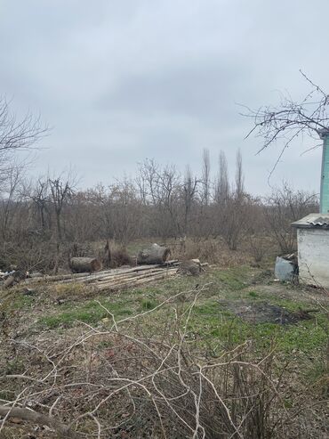 Torpaq sahələrinin satışı: Xaçmaz rayon padar kend 5 sotdan 10 sota kimi satılır sotu1.200 qazı