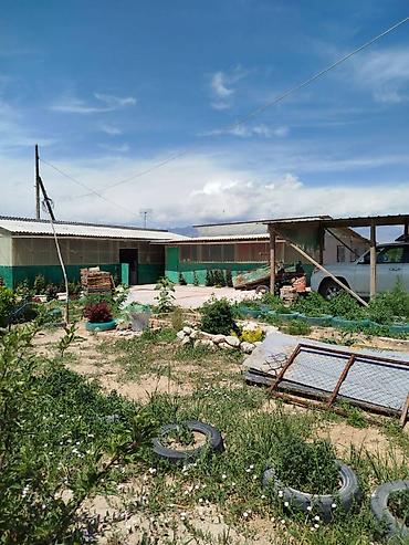 Продажа участков: 200 соток, Для сельского хозяйства — 5