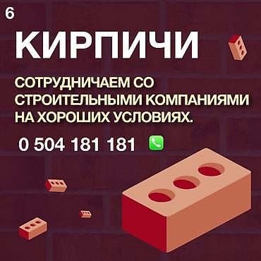 120: Пустотелый, дырчатый, Жженый кирпич, Полублок, 250×120×88 — 4