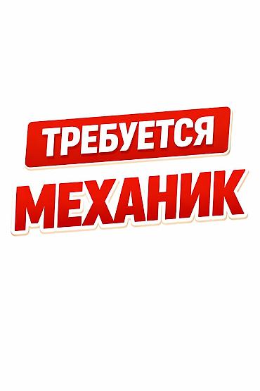 Работа: Требуется Механик, Оплата: Дважды в месяц — 1