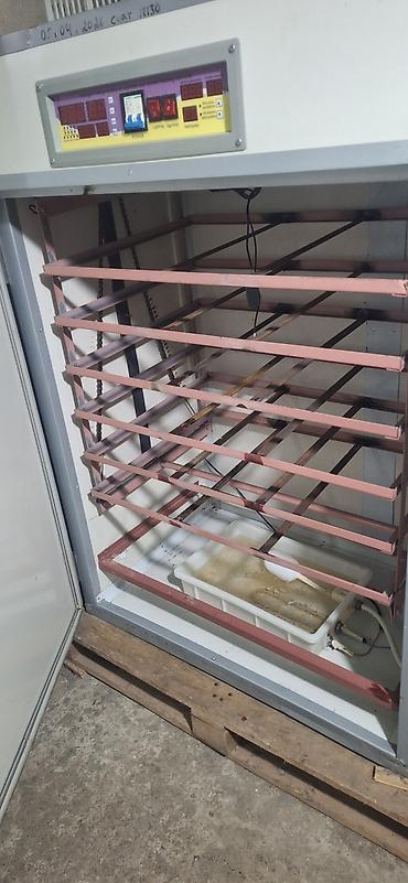 Sənaye tipli avtomatik inkubator - Yüksək tutumlu şkaf tipli — 1