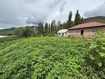 Иссык-Куль 2026: 🏠 Продается дом с участком • Баз для дом.животных (овец коров и — 5