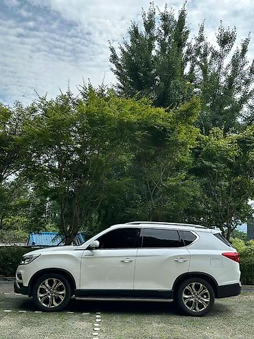 ssang: Ssangyong Rexton: 2019 г., 2.2 л, Автомат, Дизель, Внедорожник — 8