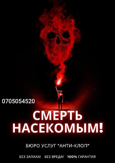 слоган: Профессиональная дезинсекция от бюро услуг «АНТИ-КЛОП». - Уничтожение — 1