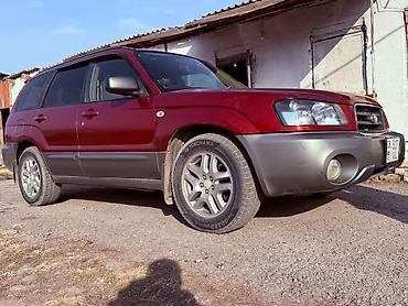 мото номер: Subaru Forester: 2003 г., 2 л, Автомат, Бензин, Хэтчбэк — 2