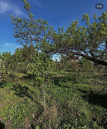 Продажа домов: Дом, 78 м², 3 комнаты, Агентство недвижимости, Косметический ремонт — 7