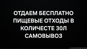 продаю шерсть: Отдаём пищевые отходы бесплатно 
САМОВЫВОЗ
