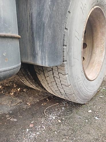 Тягачи: Тягач, DAF, 2003 г. — 10