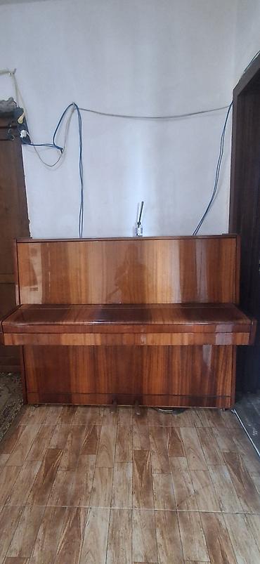 Музыкальные инструменты: Uprav pianino – şaquli model. - Korpus: parlaq cilalı təbii ağac — 9