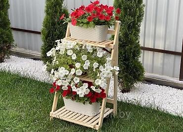 Rəflər: Gül rəfi — 11