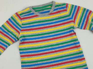 body 56: Sweatshirt, Lupilu, 5-6 years, 110-116 cm, condition - Fair