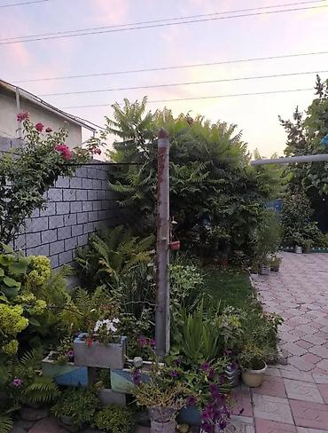 Продажа коттеджей и домов: Продаётся уютный дом площадью 67 кв.м на участке размером 4,9 соток — 1