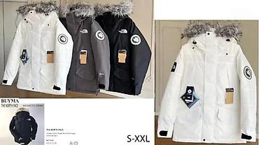 Zimske jakne: THE NORTH FACE, TOP SPORTSKE JAKNE, 2025-26 | Novo! ! ! Hit. Hit — 12