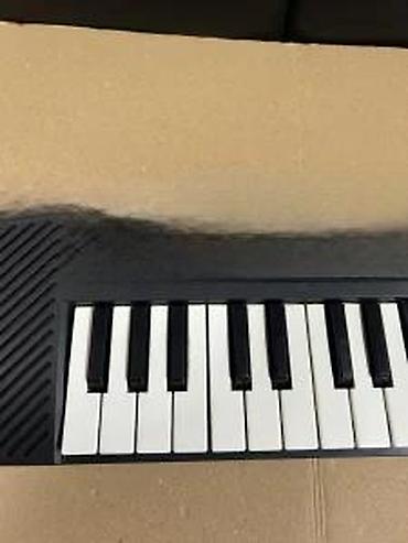 Klaviri i klavijature: Casio SA-35 mini klavijatura – SongBank Keyboard with Lesson Function — 13