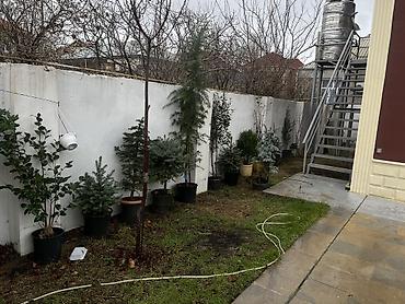 Həyət evləri və villaların satışı: 4 otaqlı, 400 kv. m, Kredit yoxdur, Yeni təmirli — 13