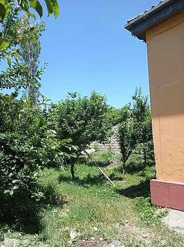 qara qarayev kiraye evler: 100 м², 2 комнаты, Канализация, Комби, Газ — 10
