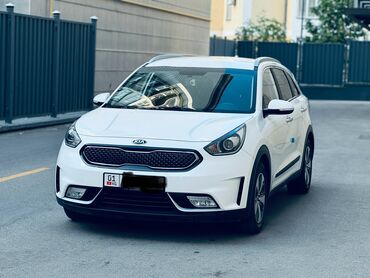 Kia: Kia Niro: 2018 г., 1.6 л, Вариатор, Гибрид, Внедорожник