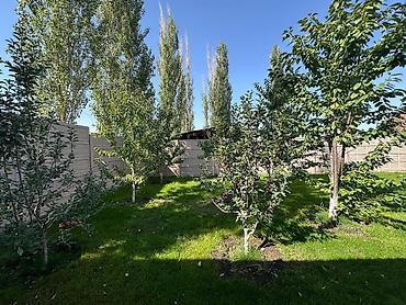 Продажа коттеджей и домов: Продается 5 комн дом Площадь дома 150м2 площадь участка 0,056га at lalafo.kg — 4 Продажа коттеджей и домов: Продается 5 комн дом Площадь дома 150м2 площадь участка 0,056га — 4