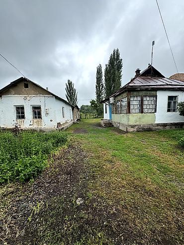 отточенто цена: 📌В селе Петровка срочно продается дом на участке 30 соток по — 3