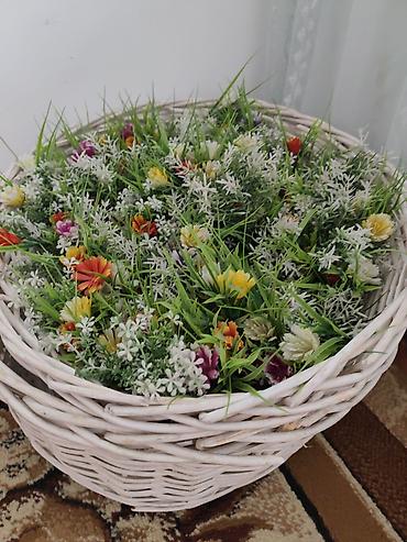 Коляски: Детская прогулочная коляска - Тип: трость/прогулочная коляска - Цвет — 23