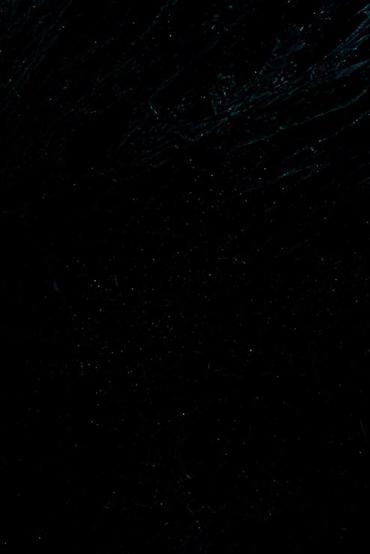 Другие хозтовары: Девушка, ищу квартиру на подселение, порядочная работаю, чистоплотная — 1