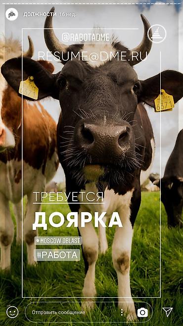 агро спан: Фермерскому хозяйству требуются доярки, скотники, механизаторы — 1