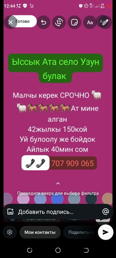 я ищу работу начной смена: Талап кылынат Чабан, Төлөм Ай сайын, Форма