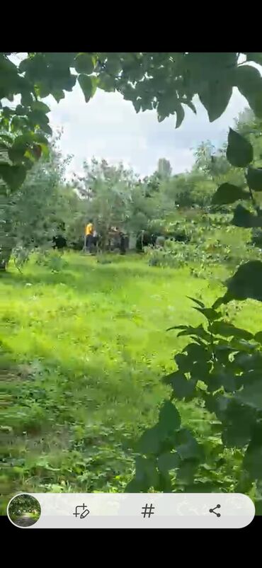 Bağ evlərinin satışı: Bakı, 24 kv. m, 7 otaqlı, Hovuzsuz, Telefon, Qaz, İşıq — 11