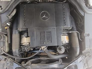 Mercedes-Benz: Mercedes-Benz S-Class: 1995 г., 5 л, Автомат, Бензин, Седан — 5