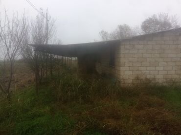 Torpaq sahələrinin satışı: 400 sot, Kənd təsərrüfatı, Maklerlər narahat etməsin — 8