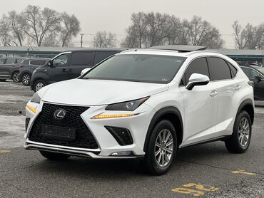 Lexus: Lexus NX: 2018 г., 2 л, Типтроник, Бензин, Кроссовер